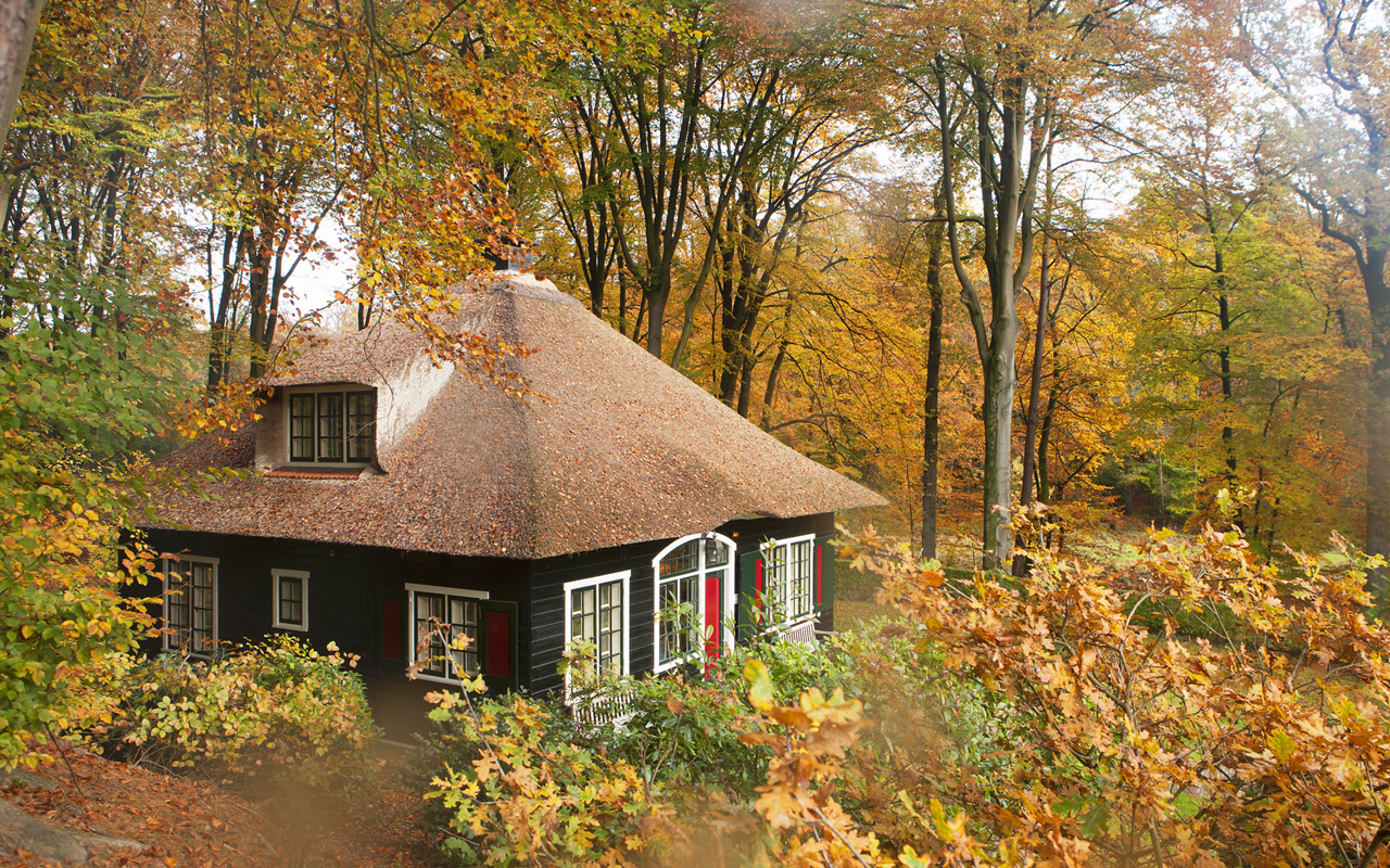 Autumn in Holland | Estate Het Roode Koper at the Veluwe